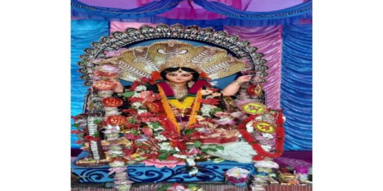 অষ্টনাগ মাতার পুজোয় মেতে উঠল  কাটোয়ার গাঁফুলিয়া গ্রাম