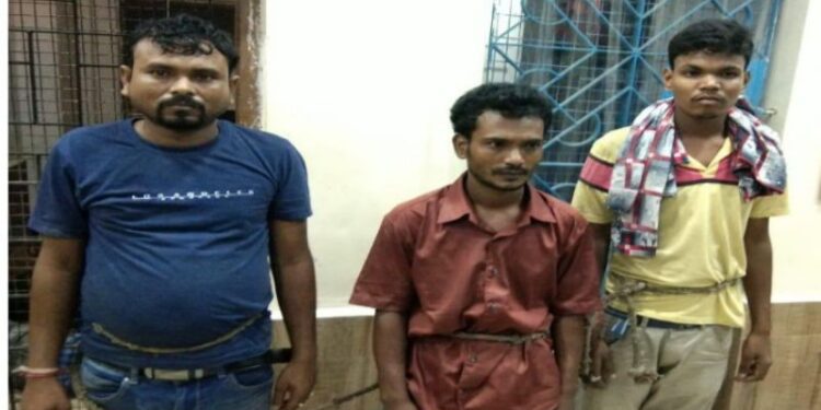 কাটোয়ায় গাঁজা পাচারের অভিযোগে গ্রেফতার ৩, উদ্ধার ১ কুইন্টল গাঁজা, আটক পিক আপ ভ্যান