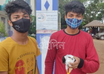 অসুস্থ ঈগলকে বাঁচাতে বিডিও অফিস থেকে থানায় ছুটে বেড়ালেন ভাতারের দুই কলেজ পড়ুয়া