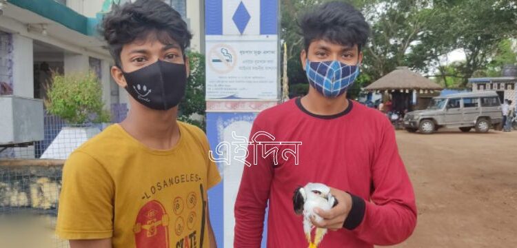 অসুস্থ ঈগলকে বাঁচাতে বিডিও অফিস থেকে থানায় ছুটে বেড়ালেন ভাতারের দুই কলেজ পড়ুয়া