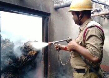 আগুনে ভস্মীভূত চার ভাইয়ের ১০০ কুইন্টাল পাট