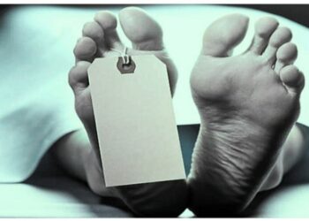 বাজার করতে বেরিয়ে বাসের ধাক্কায় প্রৌঢ়ের মৃত্যু