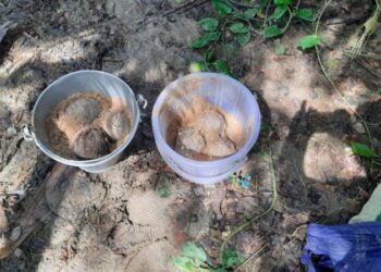 খড়ের পালুই থেকে বোমা উদ্ধার ঘিরে চাঞ্চল্য রায়নায়