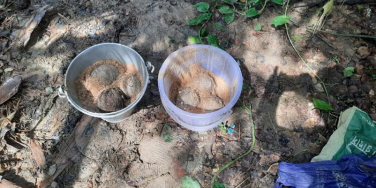 খড়ের পালুই থেকে বোমা উদ্ধার ঘিরে চাঞ্চল্য রায়নায়