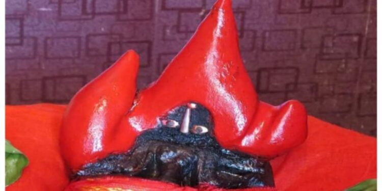 মল্লরাজার প্রতিষ্ঠিত মহামায়ার পুজো আজ সাহারজোড়াবাসীর সার্বজনীন মহোৎসব