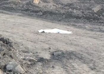 পাণ্ডবেশ্বরে খোলামুখ খনিতে দুর্ঘটনায় মৃত্যু ইসিএল কর্মীর, ক্ষতিপূরণের দাবিতে বিক্ষোভ