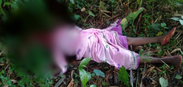 মুখ থেঁতলানো মহিলার মৃতদেহ উদ্ধার ঘিরে চাঞ্চল্য জামালপুরে