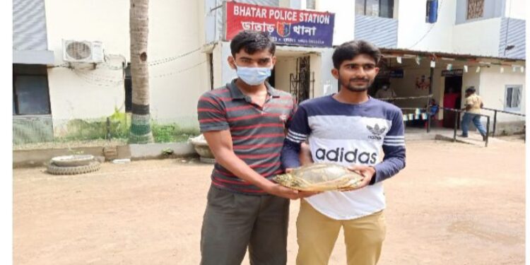 কচ্ছপের প্রাণ বাঁচিয়ে বনদপ্তরের হাতে তুলে দিল ভাতারের দুই পশুপাখি প্রেমী ভাই