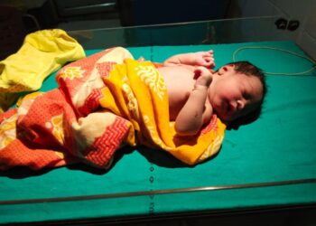 ঝোপ থেকে সদ্যোজাত শিশু উদ্ধার ঘিরে চাঞ্চল্য সিমলাপালে