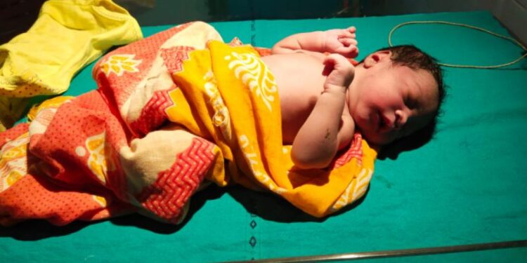 ঝোপ থেকে সদ্যোজাত শিশু উদ্ধার ঘিরে চাঞ্চল্য সিমলাপালে