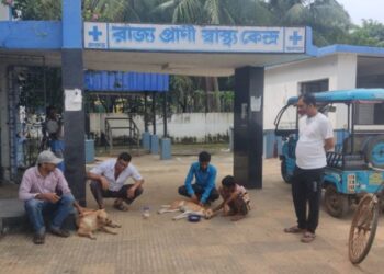 দূর্ঘটনায় জখম ও অসুস্থ দুই পথ কুকুরকে উদ্ধার করে এনেও মিলল না সুচিকিৎসা ! ভাতার  রাজ্য প্রাণী স্বাস্থ্যকেন্দ্রের পরিষেবা নিয়ে ক্ষোভ পশুপ্রেমীদের