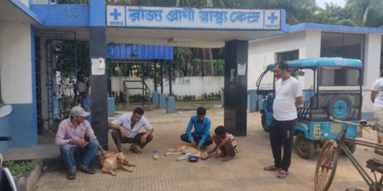 দূর্ঘটনায় জখম ও অসুস্থ দুই পথ কুকুরকে উদ্ধার করে এনেও মিলল না সুচিকিৎসা ! ভাতার  রাজ্য প্রাণী স্বাস্থ্যকেন্দ্রের পরিষেবা নিয়ে ক্ষোভ পশুপ্রেমীদের