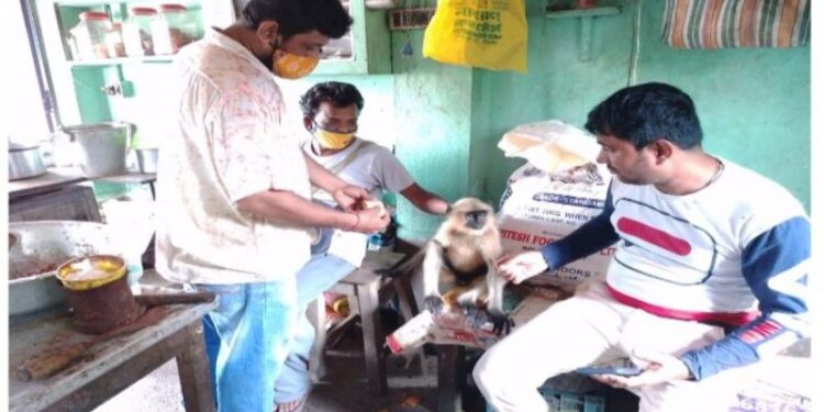 ‘বাঁদরামি’ সত্ত্বেও সকলের নয়নের মণি মন্তেশ্বরের হাটপাড়ার ‘রামু’