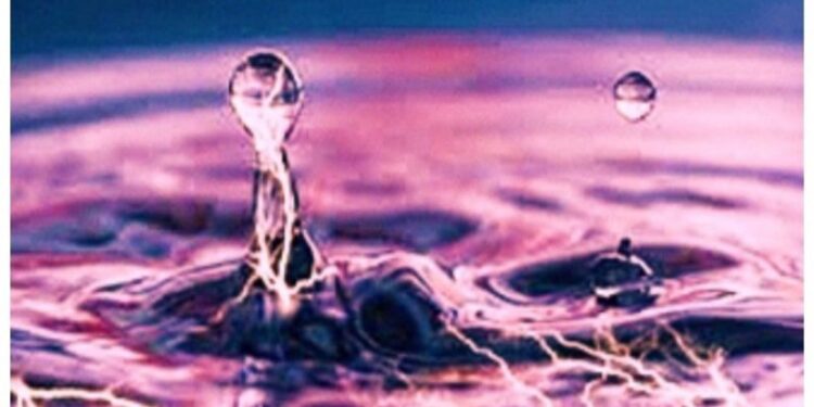 পুকুরের মাছ মারার জন্য জলে বিদ্যুৎ প্রবাহিত করেছিল দুই যুবক, স্নান করতে গিয়ে মৃত্যু দুই শিশুর