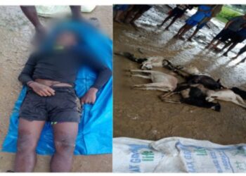 বজ্রপাতে এক বালক ও ৭ ছাগলের মৃত্যু