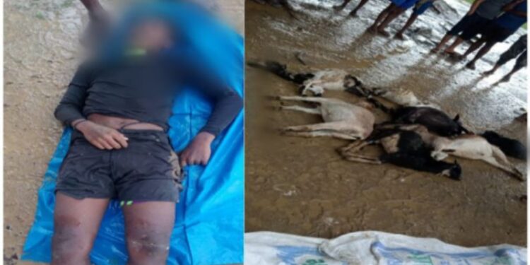 বজ্রপাতে এক বালক ও ৭ ছাগলের মৃত্যু