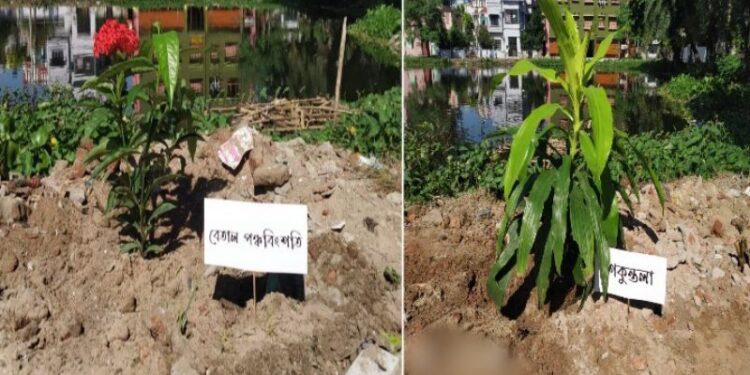 বিদ্যাসাগরের জন্মদিনে তাঁর রচিত গ্রন্থের নামে ৬০ বৃক্ষচারা রোপন করল বর্ধমানের ‘মিলিত প্রয়াস’