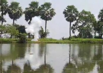 গলসির ভিমসারা গ্রামে  তাজা বোমা উদ্ধার ঘিরে চাঞ্চল্য