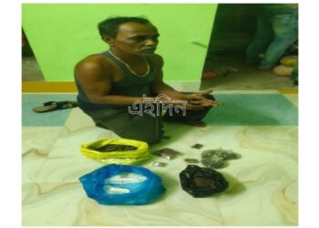 ভিলেজ পুলিশ ও সিভিক ভলেন্টিয়ার্সদের তৎপরতায় প্রচুর গাঁজা সহ গ্রেপ্তার গাঁজা কারবারী