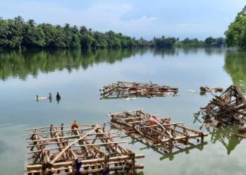 বিসর্জনের পর কাটোয়া মহকুমার গ্রামীন এলাকার বহু পুকুরে পচছে মূর্তির কাঠামো ও পূজোর সামগ্রী, ছড়াচ্ছে দূষন