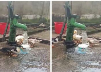 আউশগ্রামে কৃষকের বাড়ির টিউবওয়েলে নিজে থেকেই প্রবল বেগে বের হচ্ছে জল, চাঞ্চল্য এলাকায়