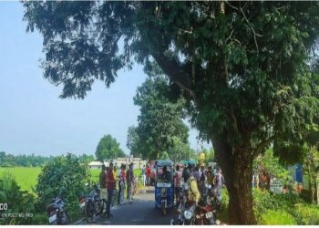 ভাতারে দূর্ঘটনায় যুবকের মৃত্যুর পর বিপজ্জনক গাছের ব্যাবস্থা নেওয়ার জন্য পূর্তদপ্তরের চিঠি করল ওসি