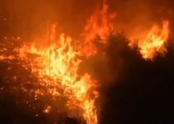 বনে আগুন ধরিয়ে কৃত্রিমভাবে দাবানলের সৃষ্টি করায়  সিরিয়ায় ২৪ জনকে মৃত্যুদণ্ডের আদেশ