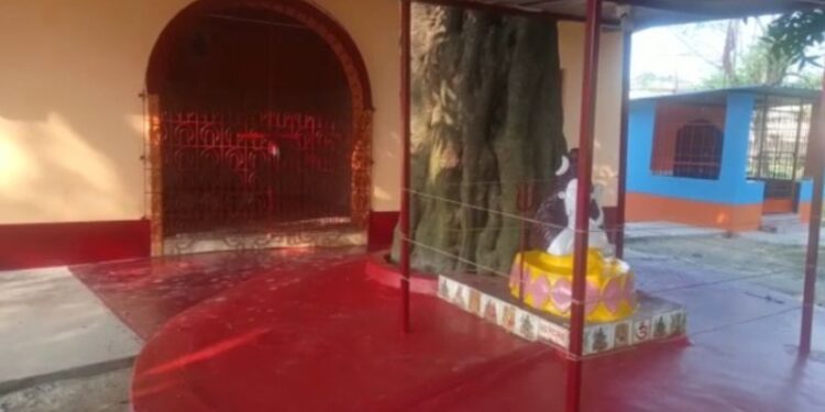 হিলিতে আজও নিয়ম নিষ্ঠার সাথে পূজিতা হয়ে আসছেন ভৈরবী মাতা