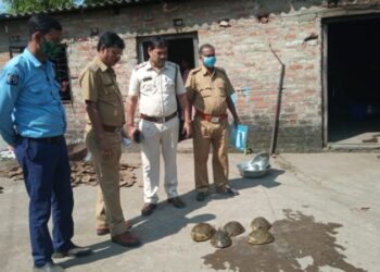রাস্তা থেকে ৫ কচ্ছপ উদ্ধার করে বনদপ্তরের হাতে তুলে দিল ভাতার থানার পুলিশ