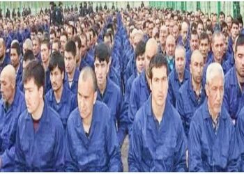 উইঘুর মুসলিমদের অঙ্গপ্রত্যঙ্গের কালোবাজারি করে বিপুল টাকা উপার্জন করছে চীন !