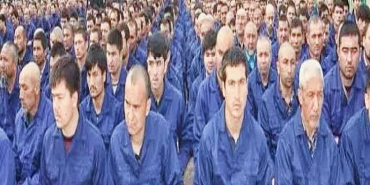 উইঘুর মুসলিমদের অঙ্গপ্রত্যঙ্গের কালোবাজারি করে বিপুল টাকা উপার্জন করছে চীন !