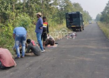 একটি শিশু হাতি ও পর্যাপ্ত খাবারের টানে আউশগ্রাম ছাড়তে চাইছে না হাতির দল