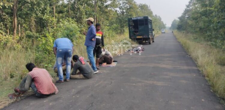 একটি শিশু হাতি ও পর্যাপ্ত খাবারের টানে আউশগ্রাম ছাড়তে চাইছে না হাতির দল