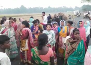 মেয়ের সামনেই মা’কে পা দিয়ে পিষে মারল দলছুট হাতি