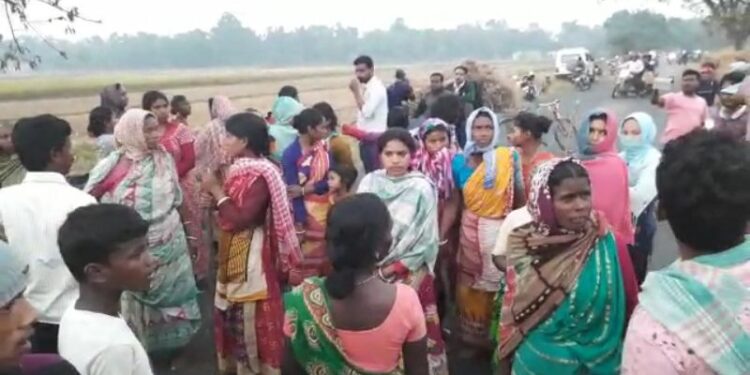 মেয়ের সামনেই মা’কে পা দিয়ে পিষে মারল দলছুট হাতি