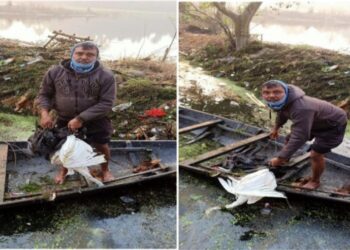 বিষ প্রয়োগ করে জলাশয়ে মাছ খেতে আসা পাখিদের হত্যা করার অভিযোগে গ্রেপ্তার ২