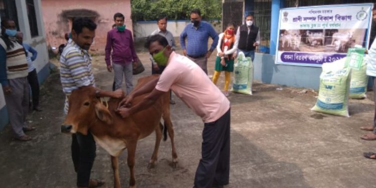নিবিড় কৃত্রিম গোপ্রজনন কর্মসূচী নিয়ে কর্মশালা ভাতারে