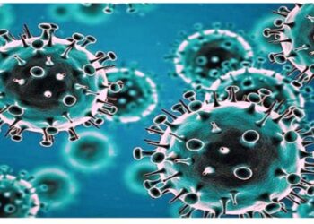 ওমিক্রন ভ্যারিয়েন্ট  : জি-৭ দেশগুলোর জরুরি বৈঠক ডাকলো ব্রিটেন