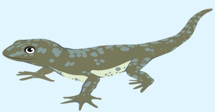 স্যুটকেসে লুকিয়ে বিদেশ পাড়ি মার্কিন টিকটিকির, অতিথিকে দেশে ফেরাবে ইংল্যান্ড