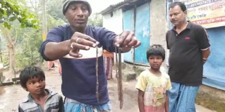 বাঁকুড়া পুরসভার সরবরাহ করা পানীয় জলের পাইপ থেকে বের হচ্ছে দূর্গন্ধ যুক্ত জল,সর্পিলাকৃতি মাছ,কেঁচো ! তীব্র ক্ষোভ কবরডাঙ্গা বস্তিতে