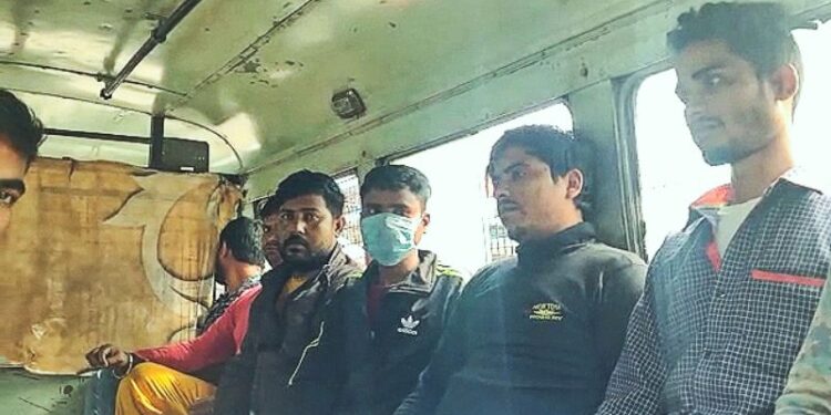 ইংরেজবাজারে আধ কুইন্টাল গাঁজাসহ গ্রেফতার ৫ দুষ্কৃতি