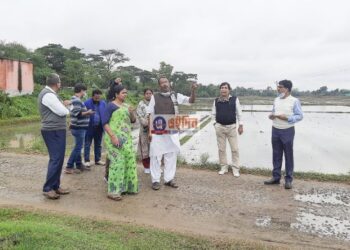 নিম্নচাপের বৃষ্টিতে আলু ও ধান চাষে ব্যাপক ক্ষতি শস্যগোলায়, সকল চাষিকে শস্যবীমার আওতাভুক্ত হওয়ার আবেদন প্রশাসনের