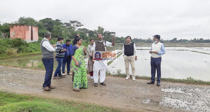 নিম্নচাপের বৃষ্টিতে আলু ও ধান চাষে ব্যাপক ক্ষতি শস্যগোলায়, সকল চাষিকে শস্যবীমার আওতাভুক্ত হওয়ার আবেদন প্রশাসনের