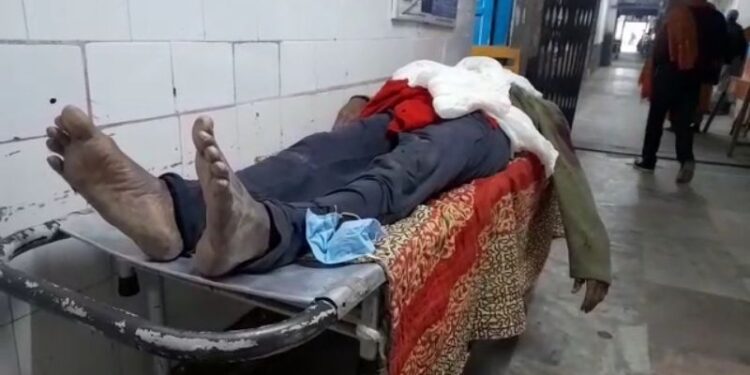 গাছে জল দিতে গিয়ে তিন তলা ছাদ থেকে পড়লেন স্ত্রী, বাঁচাতে গিয়ে নিচে পড়ে মৃত্যু স্বামীর