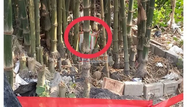 তৃণমূল নেতার বাড়ির পাশে বাঁশ বাগান থেকে বোমা উদ্ধারের ঘটনায় চাঞ্চল্য মেমারিতে