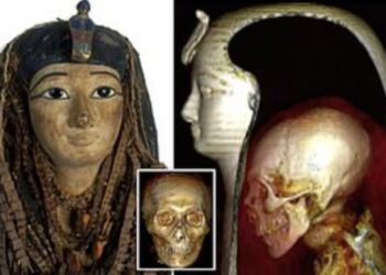 সাড়ে তিন হাজার বছরের প্রাচীন মিশরীয় রাজার মমি ডিজিটালি খুললেন গবেষকরা