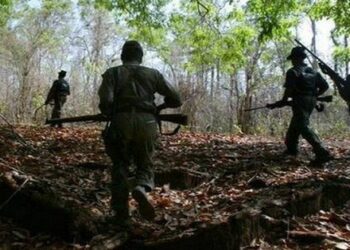 গিরিডিতে একটি ব্রিজ ও মোবাইল টাওয়ারে বিস্ফোরণ ঘটিয়ে ধ্বংস করল নকশালরা