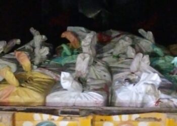 পূর্বস্থলীতে আন্তরাজ্য গাঁজা কারবারের পর্দা ফাঁস করলো এসটিএফ, উদ্ধার ৮০০ কেজির বেশী গাঁজা