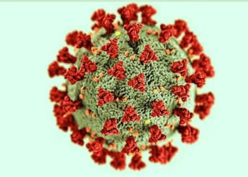 ক্রমবর্ধমান করোনার মাঝে ওমিক্রন নিয়ে সতর্ক করল বিশ্ব স্বাস্থ্য সংস্থা, কলকাতায় আন্তর্জাতিক বই মেলার আয়োজন করছে আয়োজকরা