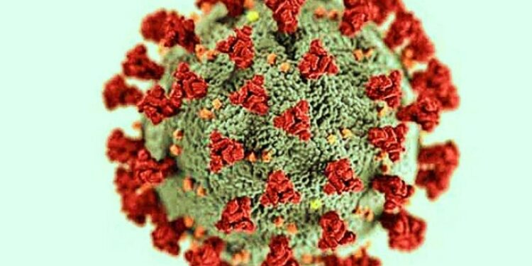 ক্রমবর্ধমান করোনার মাঝে ওমিক্রন নিয়ে সতর্ক করল বিশ্ব স্বাস্থ্য সংস্থা, কলকাতায় আন্তর্জাতিক বই মেলার আয়োজন করছে আয়োজকরা